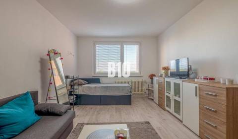 Rent Studio, Studio, Korytnická, Bratislava - Podunajské Biskupice, Sl