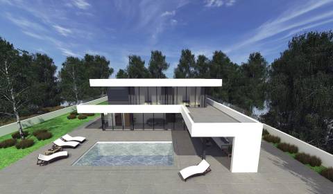 LUXURY VILLA WITH SWIMMING POOL, IN HEART OF NATURE, ZADAR - ZEMUNIK