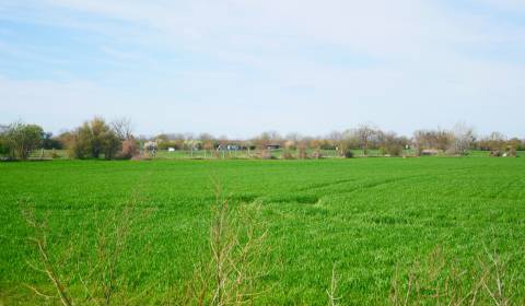 Sale Land plots - commercial, Land plots - commercial, Zavarská, Trnav