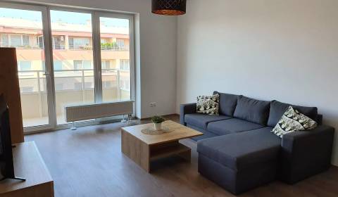 Spacious 1bdr apt 63 m2, with balcony and parking, GALVANIHO DVORY