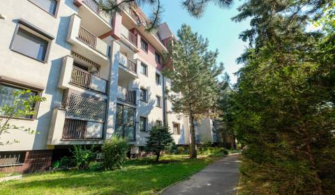 Sale Three bedroom apartment, Three bedroom apartment, Haydnova, Brati