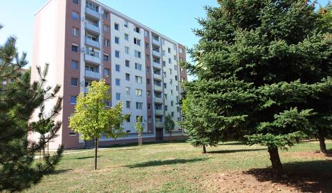 Sale Studio, Studio, E.F.Scherrera, Piešťany, Slovakia