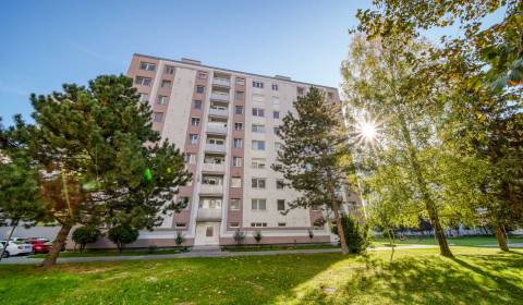 Sale Studio, Studio, E.F.Scherrera, Piešťany, Slovakia