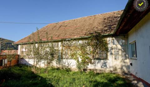 Sale Family house, Žarnovica, Slovakia