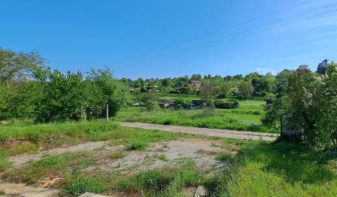 Sale Land – for living, Land – for living, Levice, Levice, Slovakia