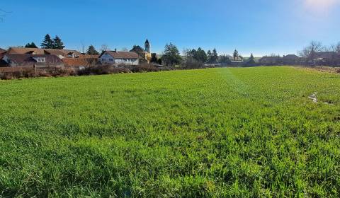 Sale Land – for living, Land – for living, Gondovo, Levice, Slovakia