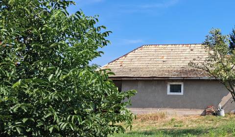 Sale Cottage, Cottage, Staré Levice, Levice, Slovakia