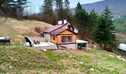 Sale Cottage, Cottage, Ilava, Slovakia