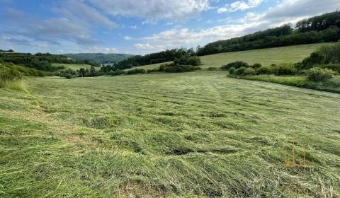 Sale Agrarian and forest land, Agrarian and forest land, Prešov, Slova