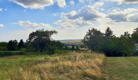 Sale Recreational land, Recreational land, Horné Jabloňovce, Levice, S