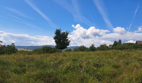 Sale Recreational land, Recreational land, Horné Jabloňovce, Levice, S