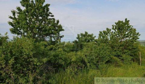 Sale Agrarian and forest land, Agrarian and forest land, Pezinok, Slov