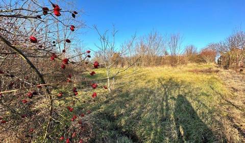 Sale Land – for living, Land – for living, Nové Zámky, Slovakia