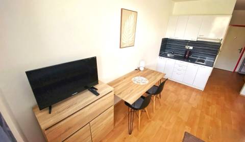 Rent Single studio, Single studio, Betliarska, Bratislava - Petržalka,