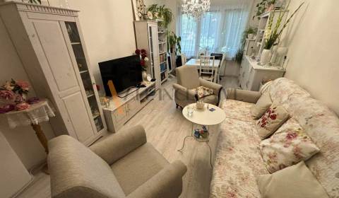 Rent One bedroom apartment, One bedroom apartment, Kukučínova, Dunajsk