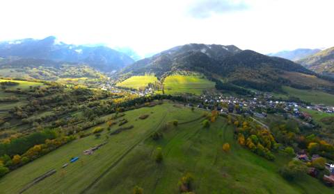 Sale Agrarian and forest land, Agrarian and forest land, Žilina, Slova