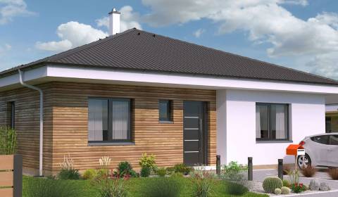 Sale Family house, Family house, Sasinkovo, Hlohovec, Slovakia