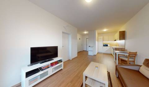 Sale One bedroom apartment, One bedroom apartment, Lužná, Bratislava -