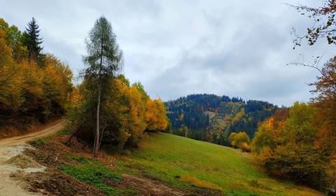 Sale Recreational land, Recreational land, Veľké Rovné, Bytča, Slovaki