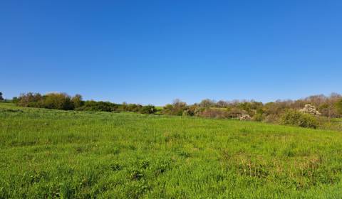 Sale Recreational land, Recreational land, Dolné Žemberovce, Levice, S