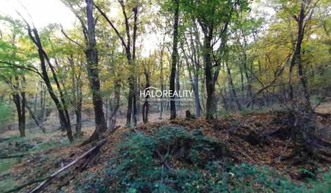 Sale Land – for living, Veľký Krtíš, Slovakia