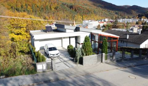 Sale Family house, Family house, Červené kopanice, Trenčín, Slovakia