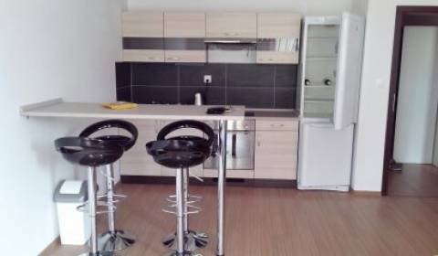 Rent One bedroom apartment, One bedroom apartment, Veltlínska, Pezinok