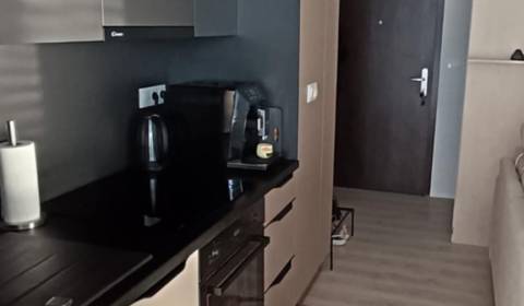 Rent One bedroom apartment, One bedroom apartment, Karola Duchoňa, Gal