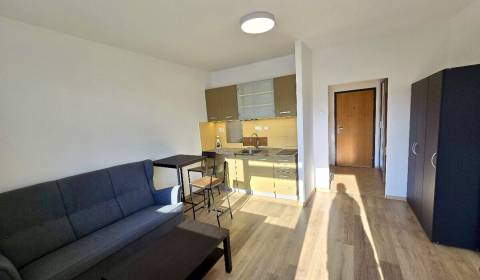 Rent One bedroom apartment, One bedroom apartment, Blagoevova, Bratisl