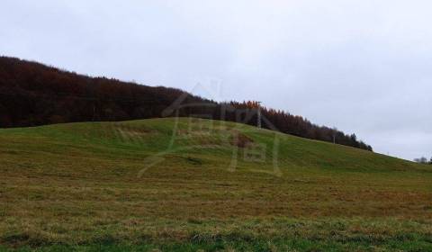 Sale Agrarian and forest land, Agrarian and forest land, Humenné, Slov