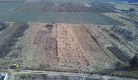 Sale Agrarian and forest land, Agrarian and forest land, Snina, Slovak