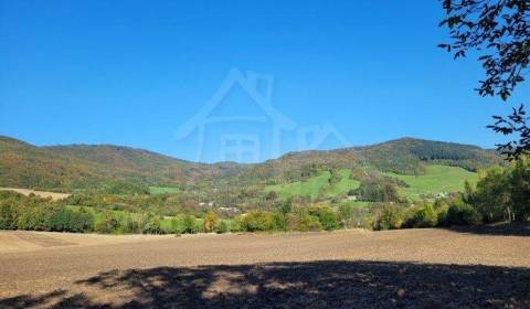 Sale Agrarian and forest land, Agrarian and forest land, Púchov, Slova