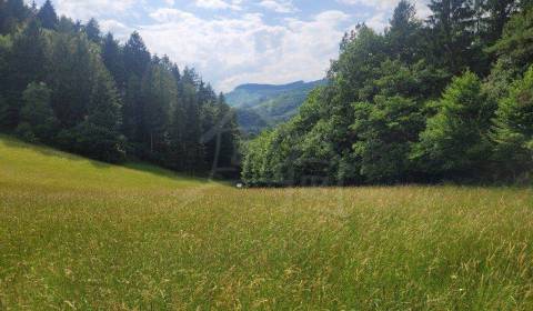 Sale Agrarian and forest land, Agrarian and forest land, Púchov, Slova