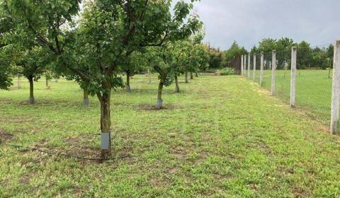 Sale Land – for living, Land – for living, Nové Zámky, Slovakia