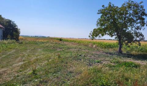 Sale Land – for living, Land – for living, Hlavná, Trebišov, Slovakia