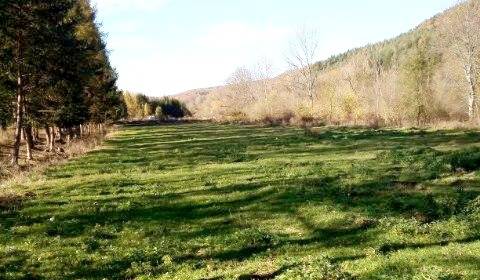 Sale Land – for living, Land – for living, Detva, Slovakia