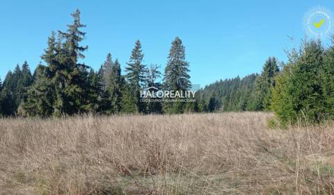 Sale Recreational land, Liptovský Mikuláš, Slovakia