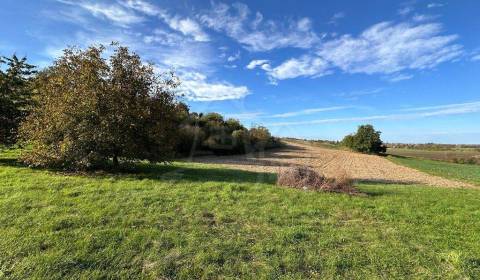 Sale Agrarian and forest land, Agrarian and forest land, Nové Zámky, S