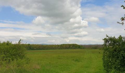 Sale Agrarian and forest land, Agrarian and forest land, Pezinok, Slov