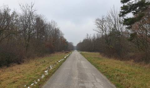 Sale Agrarian and forest land, Agrarian and forest land, Pezinok, Slov