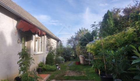 Sale Cottage, Cottage, Topoľčany, Slovakia