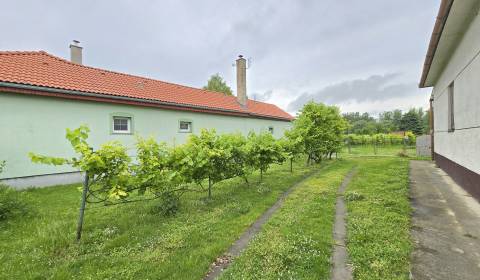 Sale Family house, Family house, Dunajská Streda, Slovakia