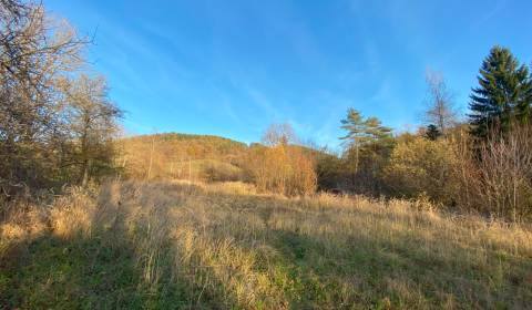 Sale Land – for living, Land – for living, Dohňany, Púchov, Slovakia