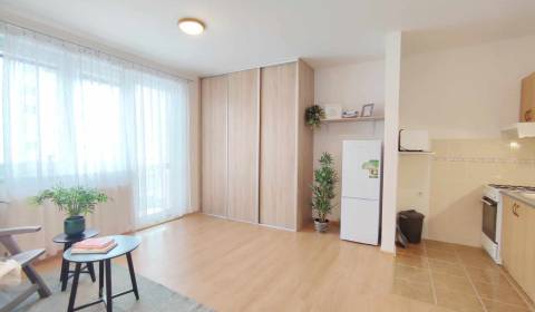 Rent Single studio, Single studio, Východná, Trenčín, Slovakia