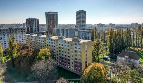 Sale Double-studio, Double-studio, Vranovská, Bratislava - Petržalka, 