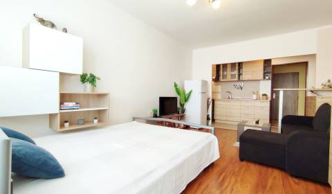 Rent Single studio, Single studio, Západná, Trenčín, Slovakia