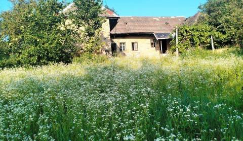 Sale Cottage, Cottage, Nové Mesto nad Váhom, Slovakia