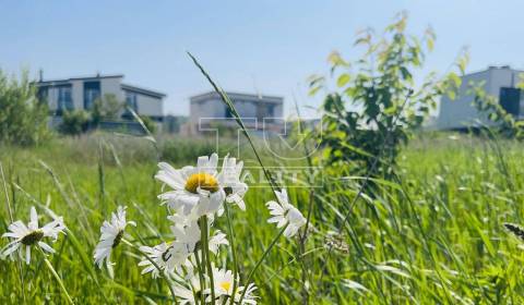 Sale Land – for living, Piešťany, Slovakia