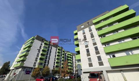 Sale One bedroom apartment, One bedroom apartment, Rustaveliho, Bratis