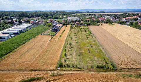 Sale Land – for living, Land – for living, Senecká, Senec, Slovakia